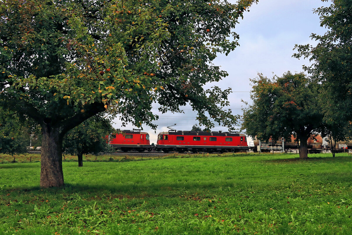 An der ehemaligen BT-Strecke Romanshorn - St.Gallen: Ein schwerer Tankwagenzug wird von den beiden Loks Re 4/4 11242 und Re 6/6 11670 über den Berg nach St.Gallen geschleppt. Muolen, 7.Oktober 2021 