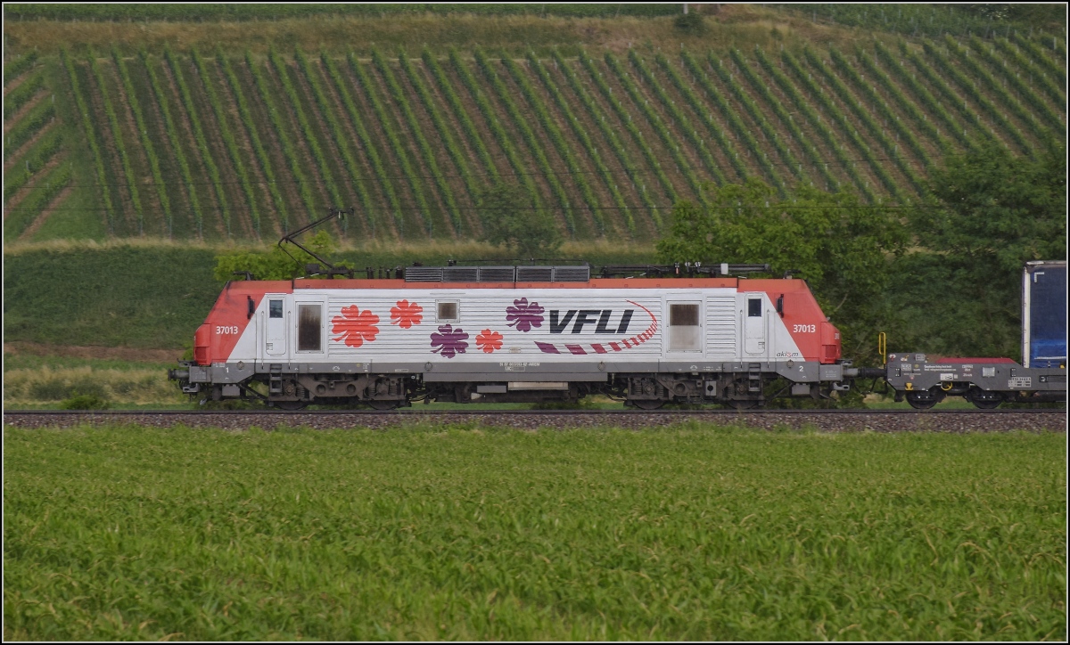 Auf der badischen Hauptbahn im südlichen Teil ist CC 37013 von VFLI Akiem sicherlich eine Überraschung, hier noch mitten im starken Regen, während von hinten die Sonne schon durchschimmert. Buggingen, Juni 2022.