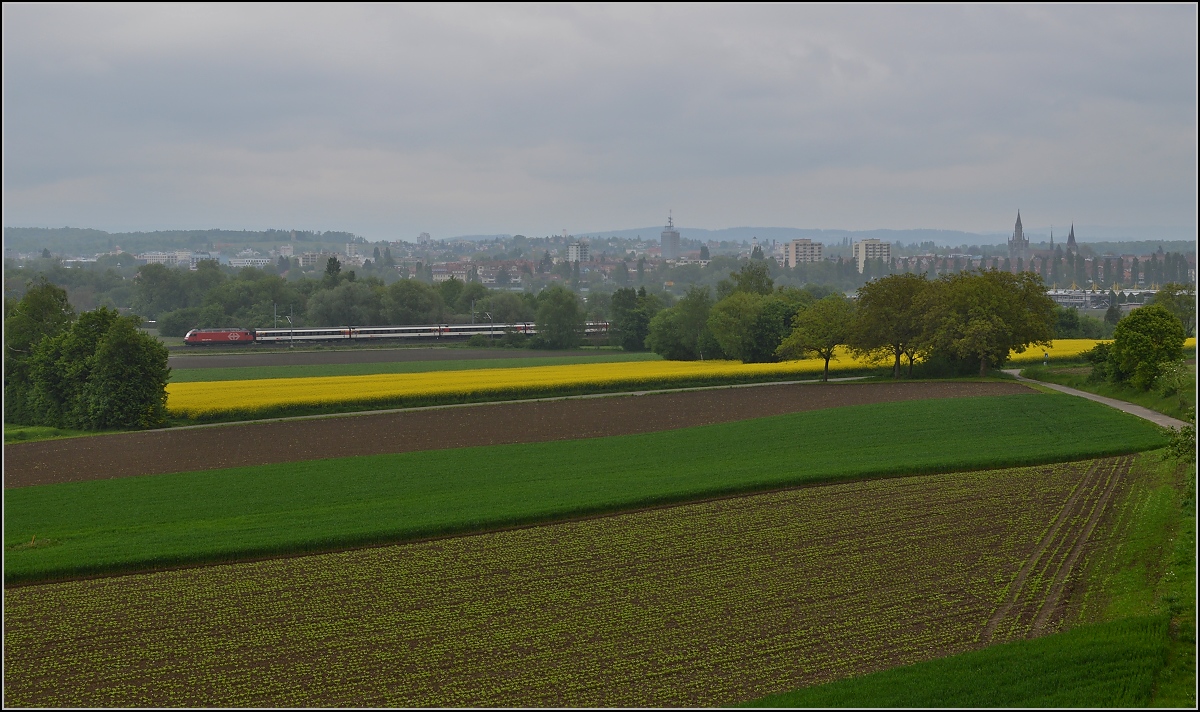 Bahn im Tägermoos - bei Sauwetter. 

IR Biel-Konstanz bei Regenwetter. Mai 2014.