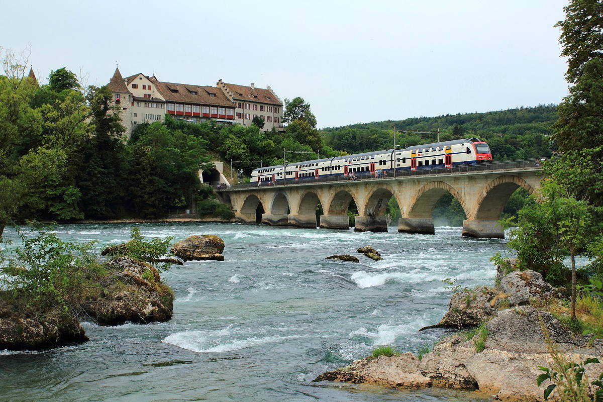 Bei Schloss Laufen überquert ein RABe 514 den Rhein (26.07.2015)