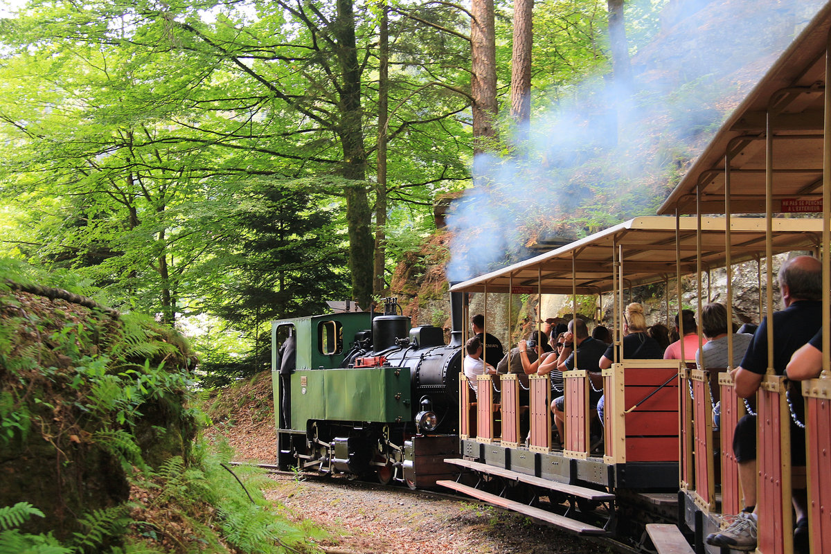 Chemin de Fer Forestier d'Abreschviller: Die Mallet-Lok. 22.Juli 2018  