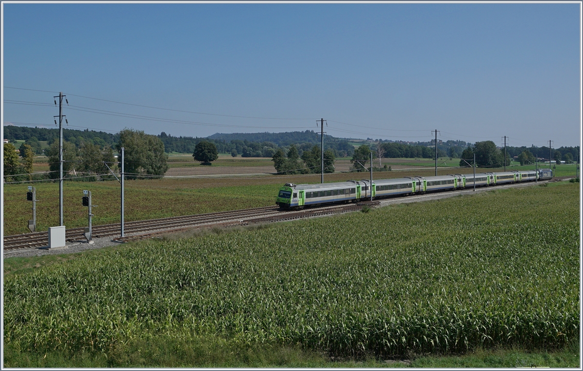 Der BLS RE 3922 von Bern nach La-Chaux-de-Fonds kurz vor Gampelen. 

30. August 2019 