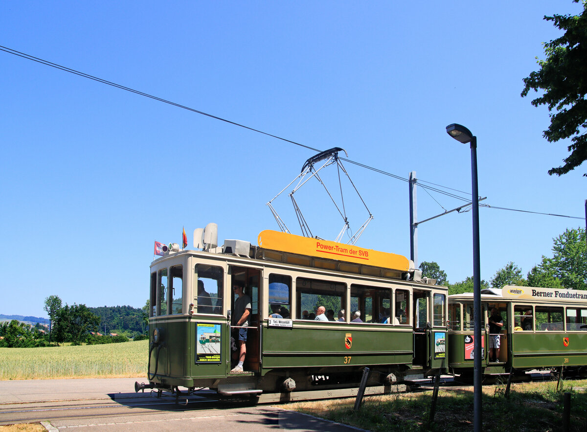 Der historische Motorwagen 37 in der Landschaft jenseits der Wittigkofen-Hochhäuser. Da es ein heisser Tag war, sind die linksseitigen Türen offen, mit nur einer Sicherungsstange. Saali, 25.Juni 2023 -- Ich vermute, der Wagen hat sein Ueberleben als historisches Fahrzeug einem schweren Unfall etwa um 1957 zu  verdanken , wo er zu mitternächtlicher Stunde vor dem Einstellen im Depot Burgernziel von einem Lastwagen von hinten gerammt wurde. Es folgte ein sehr weitgehender Wiederaufbau eines neuen Holzkastens, was bedeutete, dass der Wagen dann als allerletzter Zweiachsmotorwagen seine Hauptrevision (1964, aber danach vorerst kaum benutzt) durchlief.  