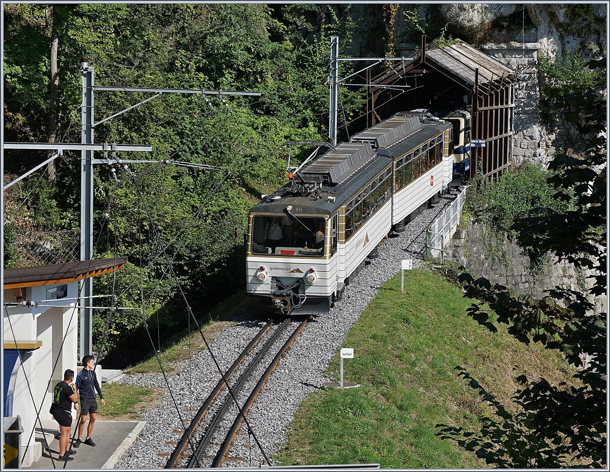Der Rochers de Naye Beh 4/8 305 und ein weiterer Beh auf dem Weg nach Montreux erreichen die Haltestelle Toveyre. 
13. Aug. 2017
