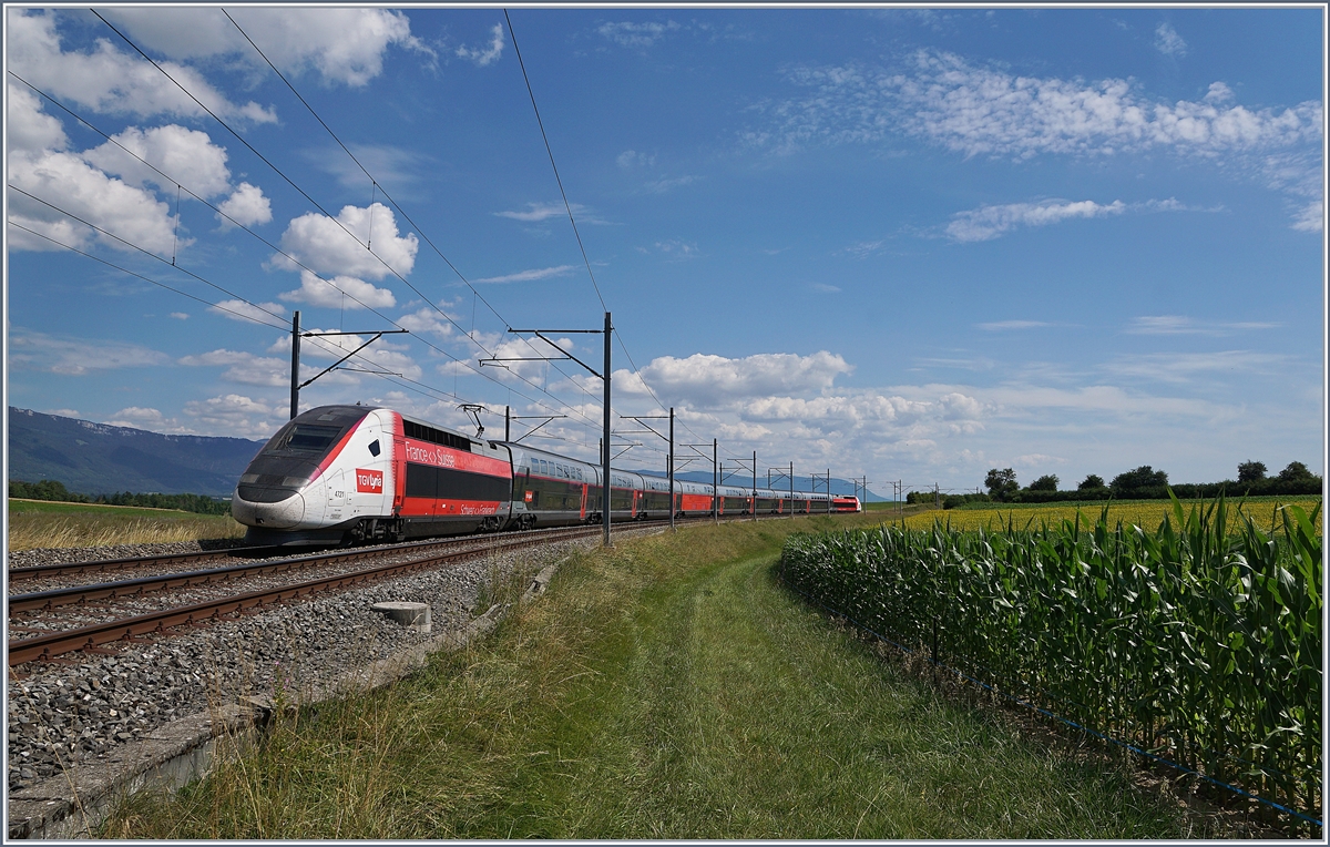 Der TGV Lyria 9261, geführt vom Triebzug N° 4721, hat kurz vor Arnex sein Ziel Lausanne schon fast erreicht. Kurz vor Arnex beschreibt die Trasse einen weiten, offen 180° Bogen, der jedoch vom Gelände, der Vegetation und Sonnenstand her kaum als ganzes ins Bild zu bekommen ist. Ich wählte hier den Nachschuss, da der Zug auf dem fototechnisch günstigen Gleis fuhr, der gehobene Stromabnehmer dabei aufs Bild kam und der  Nachschuss  von der Spitzen/Schlussbeleuchtung kaum auffällt.

14. Juli 2020