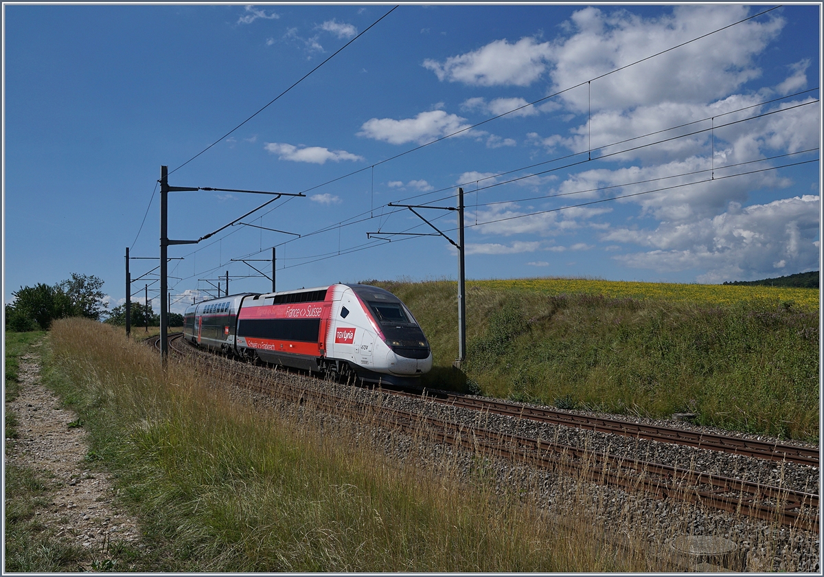 Der TGV Lyria 9261 von Paris Gare de Lyon nach Lausanne oberhalb von Arnex auf der Fahrt durch die hügligen Jurasüdfuss Landschaft. 

25. Juli 2020