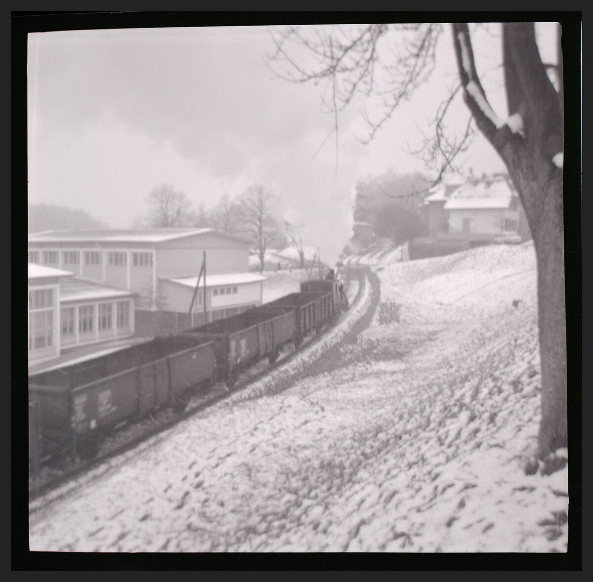 Die Gaswerkbahn Bern mit einem Dampfzug, der leere Kohlewagen nach Wabern hinaufzieht. Heute ist - bis auf ein kurzes Stück, wo die Anwohner ungestört bleiben wollen - die ganze alte Gaswerkbahn ein Veloweg. Dezember 1964 