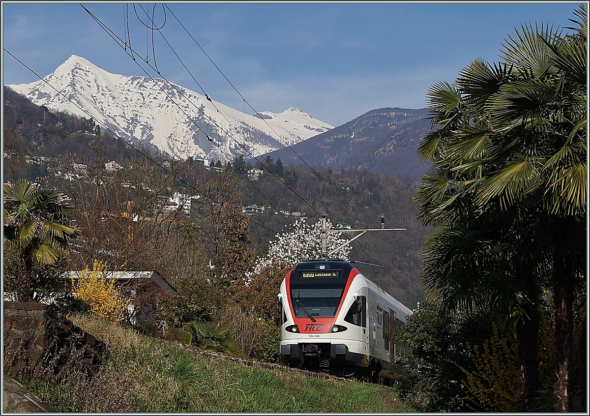 Ein Flirt mitten im Fr�hling bei Locarno. 
18. M�rz 2014