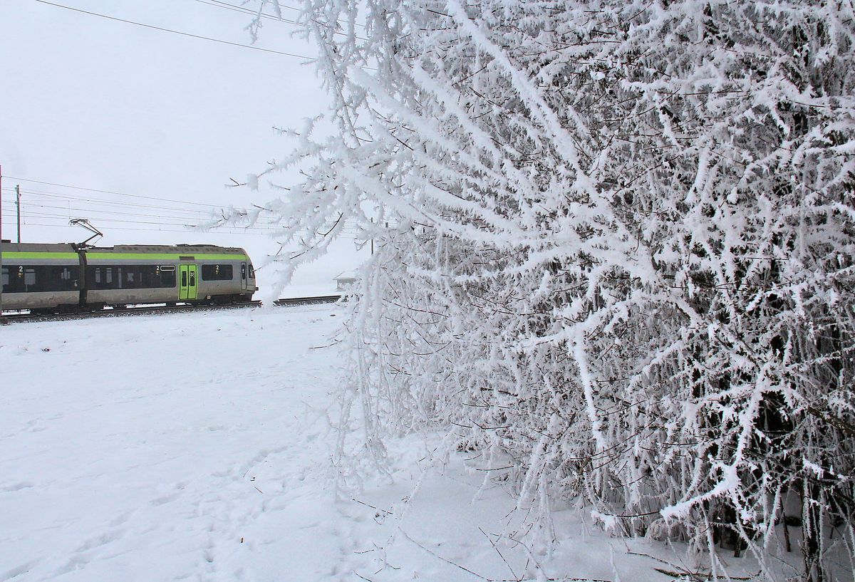 Ein kalter Tag an der Bahnlinie Bern-Thun: BLS Lötschberger. 23.1.17