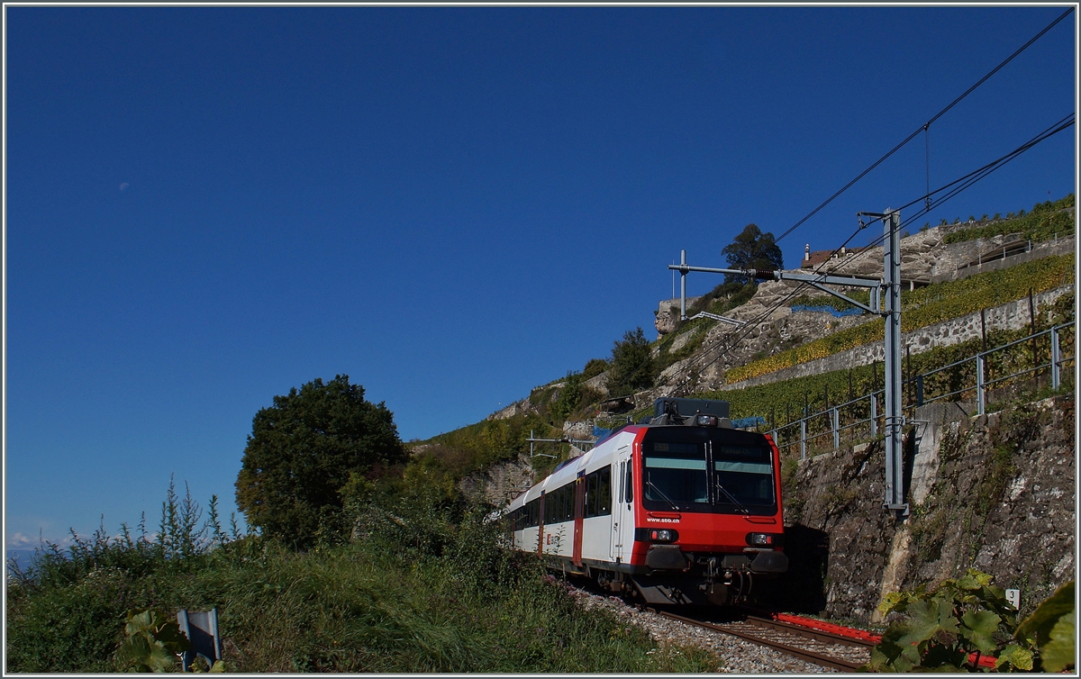 Ein SBB RBDe 560 Domino bzw. dessen Steuerwagen auf der  Train des vignes Strecke  oberhalb von St-Saphorin. 

4. Okt. 2015
