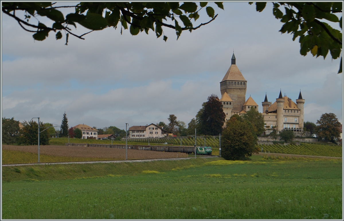 Eine der beiden BAM Ge 4/4 ist mit einem vollen Zuckerrübenzug besehend aus sieben Eaos bei Vufflens le Château unterwegs. Da pro Achse ein Zweiachsiger Rollbock benötigt wird, hat die Lok 56 (Schmalspur)-Achsen am Haken. 

15. Okt. 2014