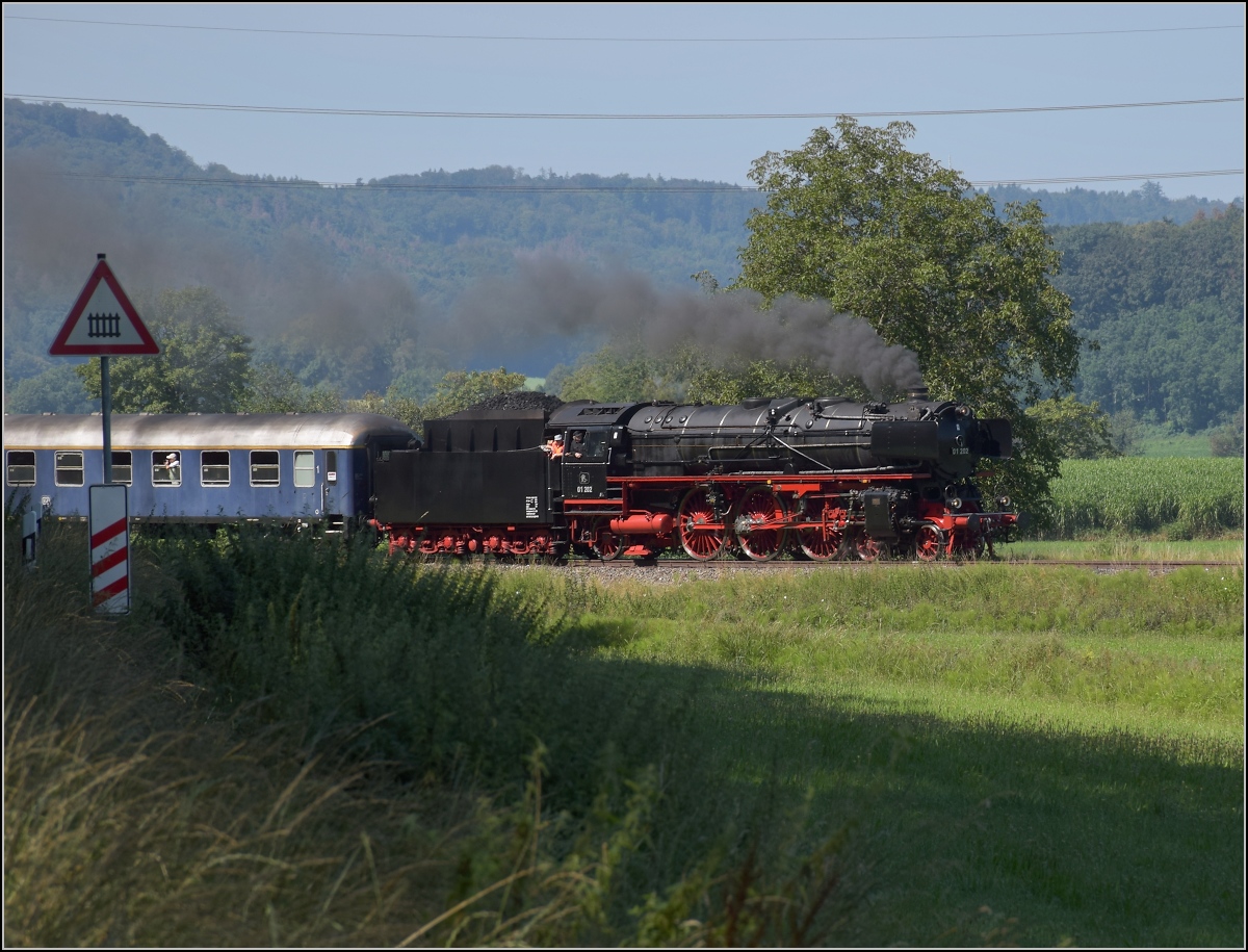 Endlich wieder Züge auf dem Schweizerbähnle (Etzwilen-Singen). 

01 202 mit dem Eröffnungszug zwischen Ramsen und Rielasingen, August 2020.
