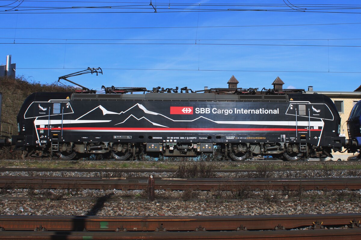 Flankblickvergleich am 13 Februar 2024 in Pratteln: die schwarze SBBCI 193 665.