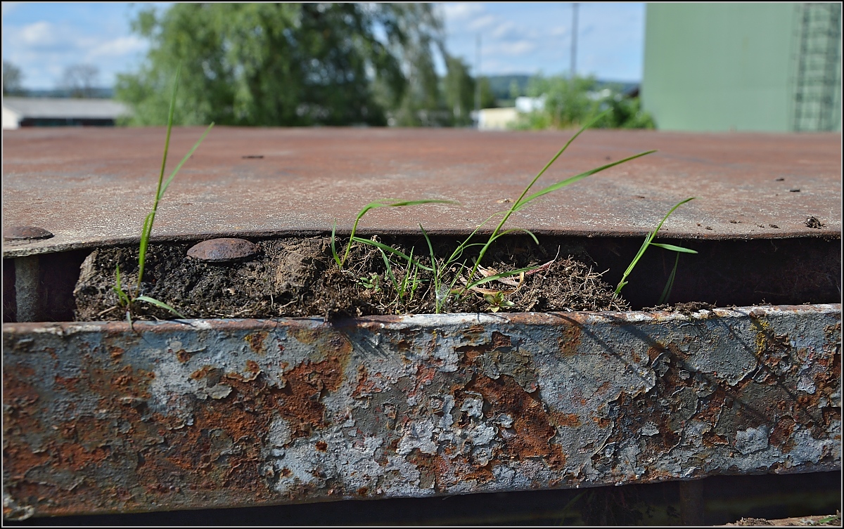 Güterwagen M4 257 Vorbesitzer RHB, 1898 gebaut durch die Ateliers de Construction in Mançeau. Beste Gartenerde und verfaultes Holz muss entfernt werden. Frauenfeld, Mai 2014.