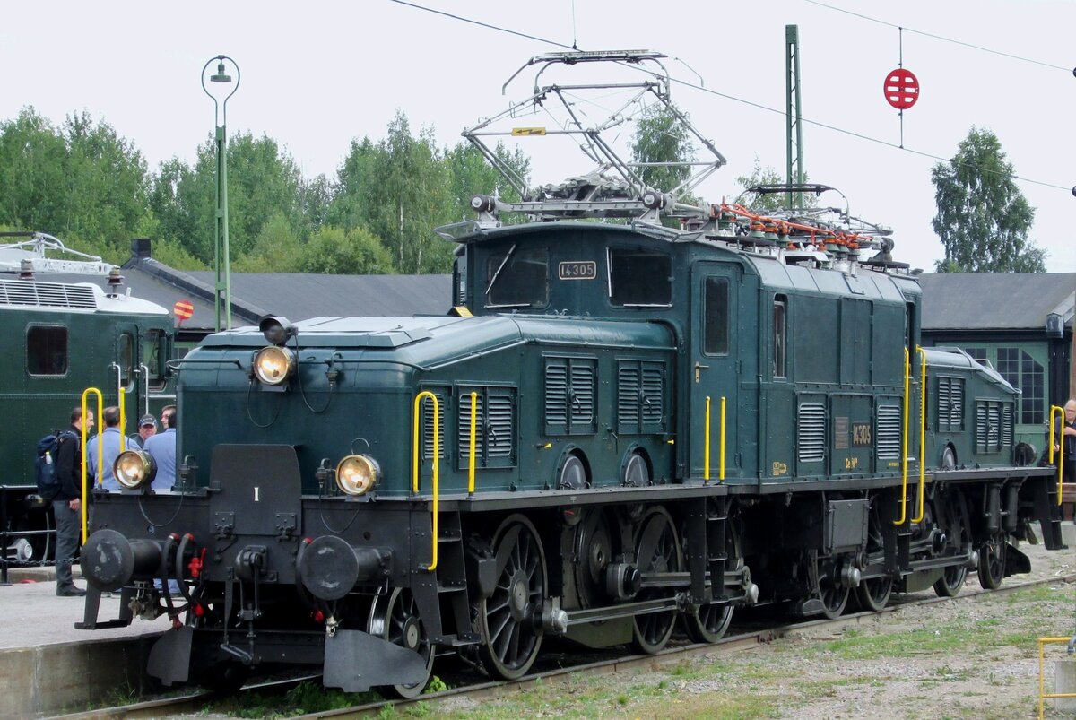 Helvetosuchus Borealensis (Nördlicher Schweizerkrokodil) heisst dieser Spezies: am 12 September 2015 steht 14305 als gast in das Schwedischen Eisenbahnmuseum in Gävle während das Feierwochenende  100 Jahren Elektrotraktion auf die Schiene in Schweden'. Nach eine Woche Schweden bekam 14305 auf den Ruckfahrt nach Basel ein massiver Schaden und musste/durfte beinahe 2 Jahre ins Bw von Meiningen verbleiben. 