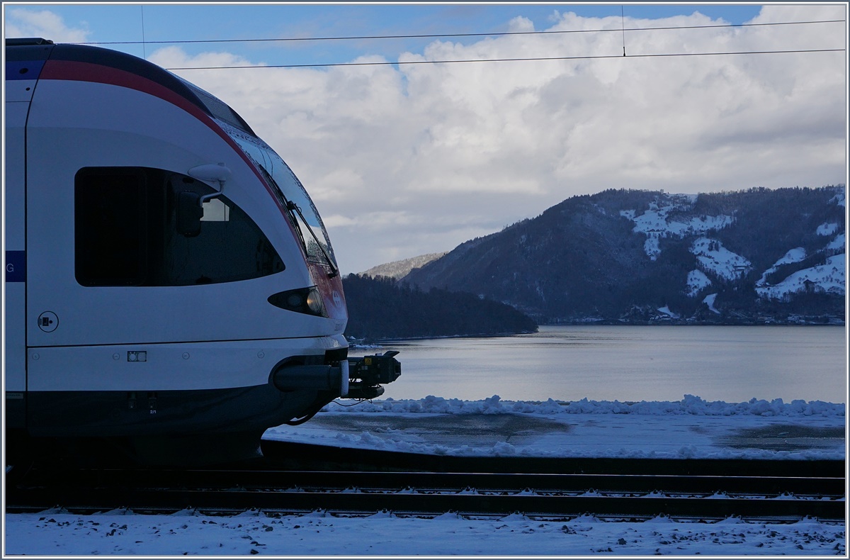 Immensee - nicht nur der Temperatur wegen fast schon  Fjord Mäßig ...
7. Jan. 2017