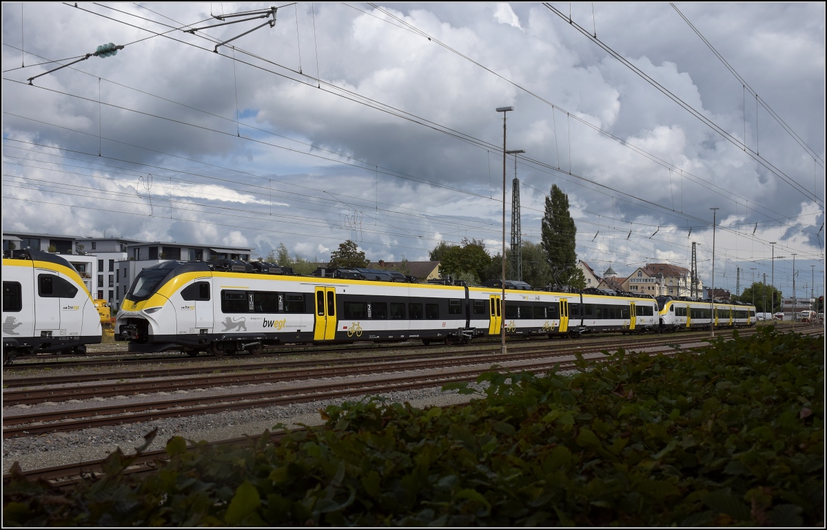 Karpfenzucht in Radolfzell. 463 010 im Güterbahnhof. August 2020.