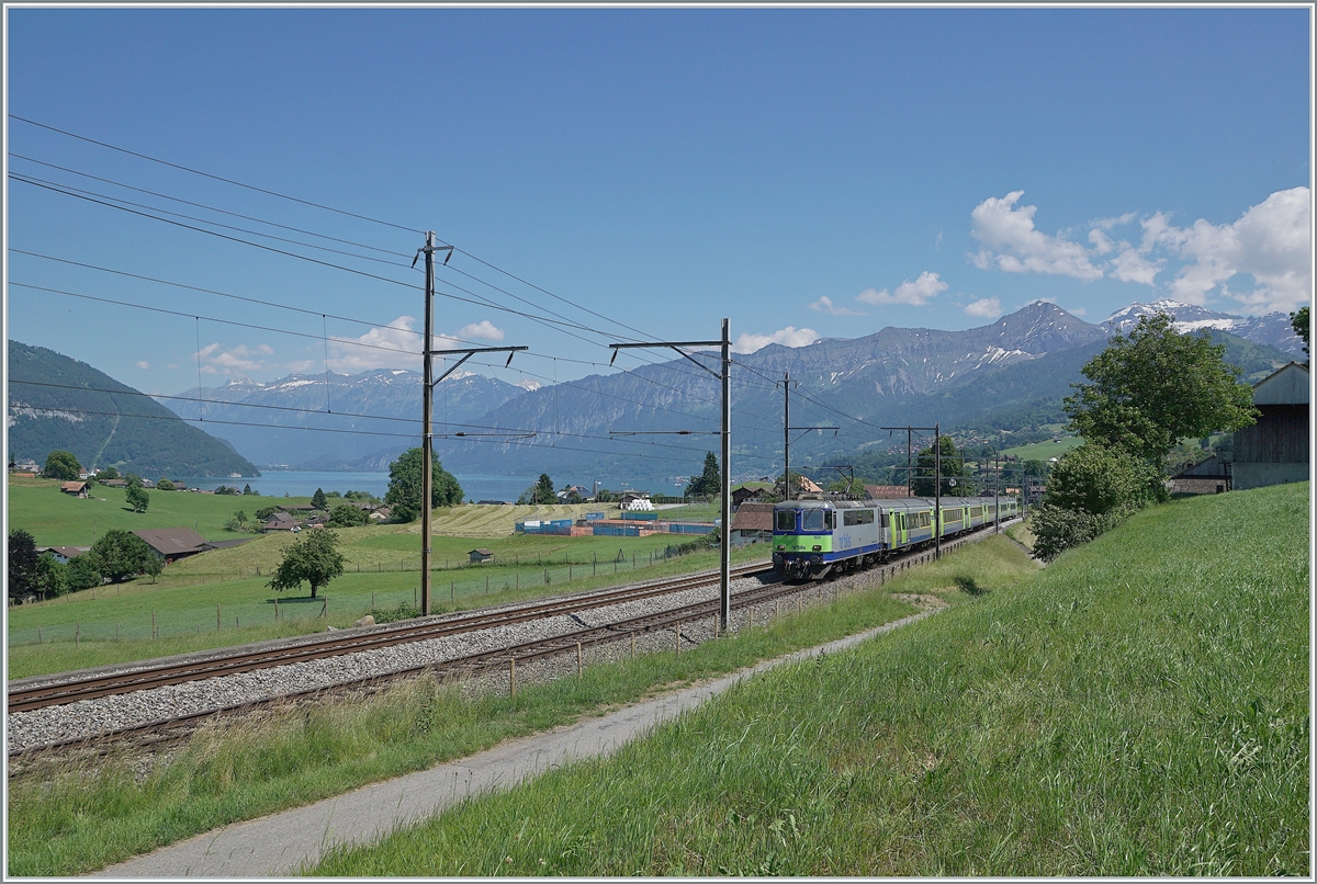 Kurz vor Spiez (mit viel Aussicht auf die Umgebung) ist die BLS Re 4/4 II 504 auf dem Weg von Interlaken Ost nach Zweisimmen. 

14. Juni 2021