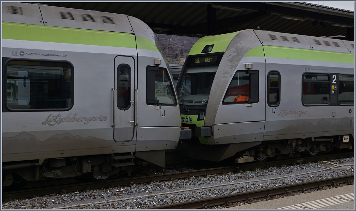  Lötschberger  und  Lötschbergerin .
Brig, den 1. März 2017