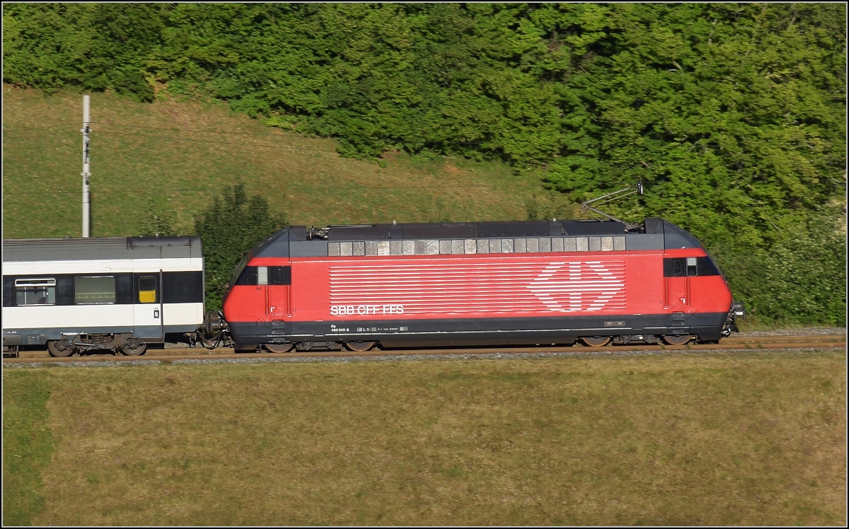 MEC Rümlingen und seine Modelleisenbahn im Massstab 1:1 mit Re 460 045-0. August 2018.