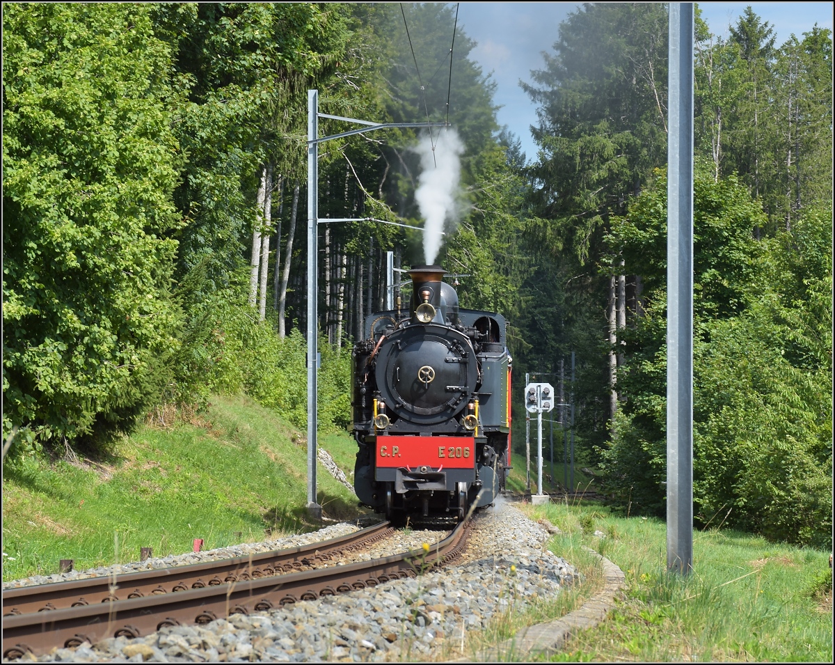 Mit der E 206 nach Tavannes. La Traction Sonderzug bei Les Reussilles. August 2019.