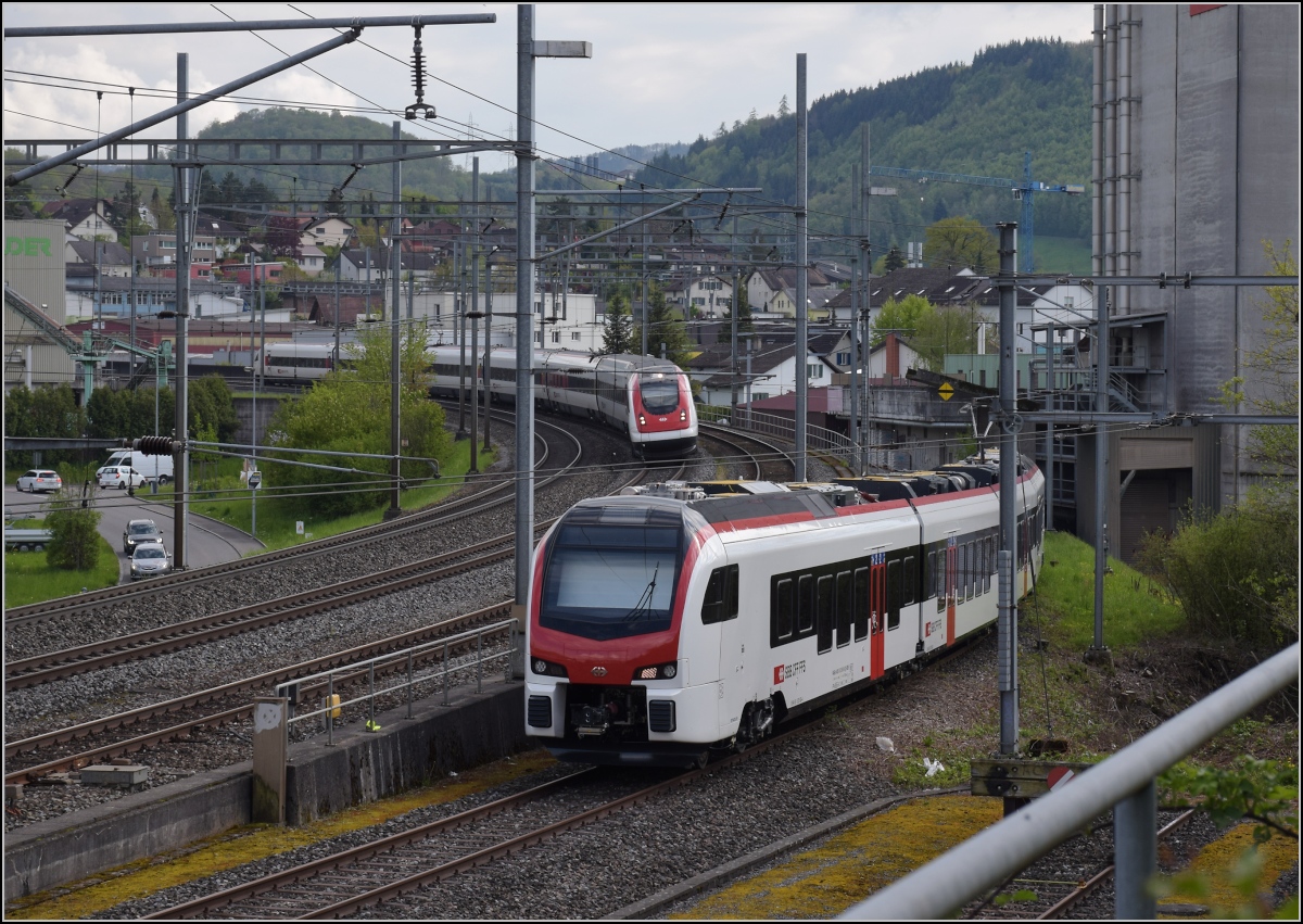 Mouette versteckt in Frick. 

Der nigelnagelneue RABe 523 503 ist auf einem Gleisanschluss in Frick geparkt. April 2022.