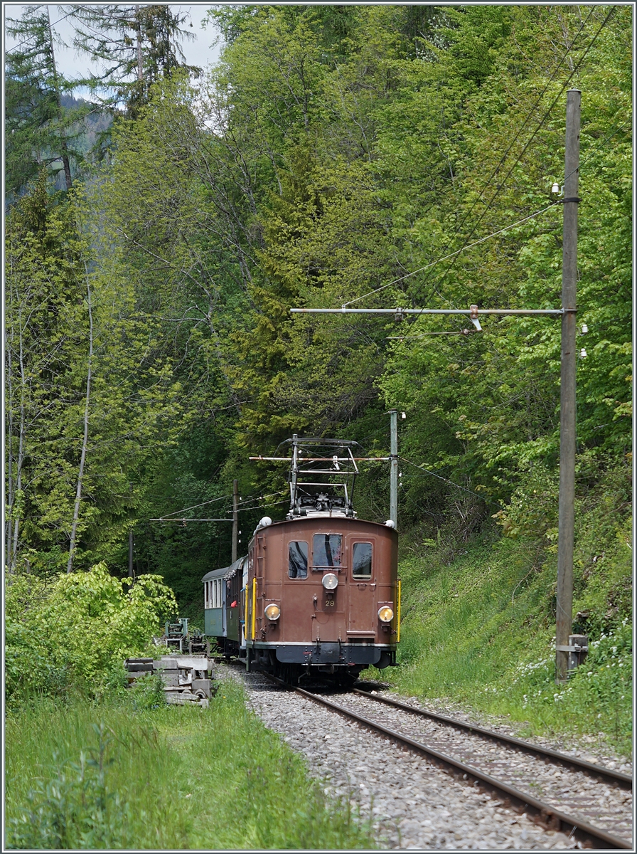 Nostalgie & Vapeur 2021 (Pfingstfestival) - Die Blonay-Chamby Bahn BOB  HGe 3/3 29 ist mit einem Personenzug von Blonay nach Chaulin unterwegs und erreicht in Kürze Chamby

22. Mai 2021