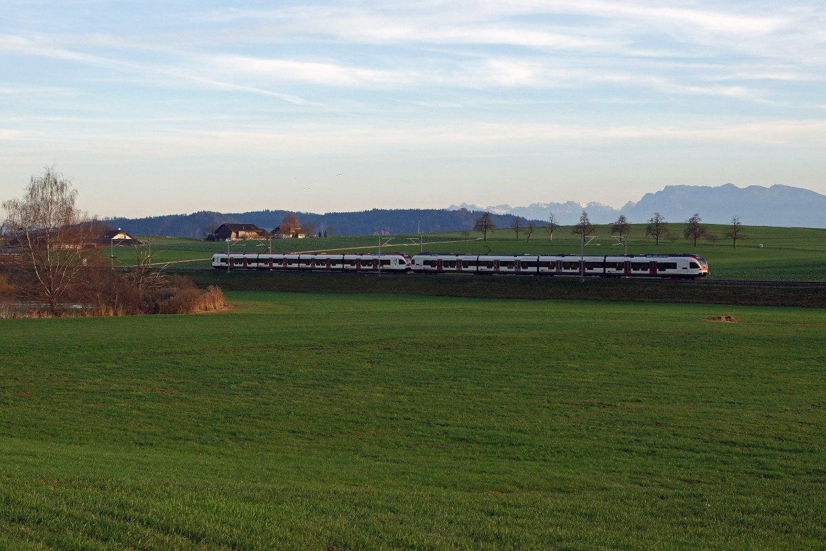 SBB: Eine Doppeltraktion FLIRT als Regionalzug Olten-Luzern w�rend der Abendd�mmerung bei Wauwil am 10. November 2015.
Foto: Walter Ruetsch 