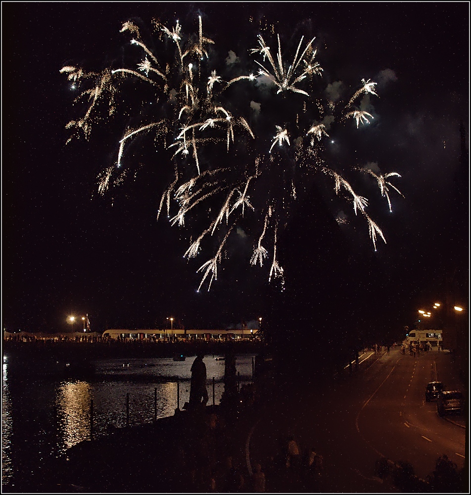 Skyfall!

Geheimer Seehas im Dienste seiner Majestät wird von Adele eindrucksvoll bei der Einfahrt begleitet. Konstanz, August 2015. 

Vergleiche auch http://www.bahnbilder.de/bild/Deutschland~Galerien~Experimente+-+Anders+gesehen/886963/skyfall-geheimer-seehas-im-dienste-seiner.html