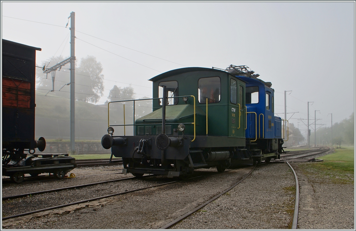 Spitzmaus in Grün und mit UIC Nummer: der CTVJ Tm I 102 (UIC 98 85 5230 320-4) steht in Le Pont. 

5. Sept. 2014