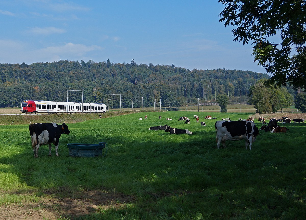TPF: Regionalzug Fribourg-Neuch�tel zwischen Courtpin und Pensier am 29. September 2014.
Foto: Walter Ruetsch 