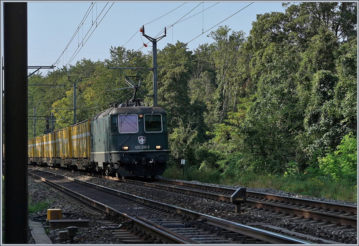 Ungeschickt gestanden, doch der grünen Farbe wegen doch abgedrückt: Re 420 330-3 mit einem Postzug bei Vufflens la Ville.
29. August 2018
 
