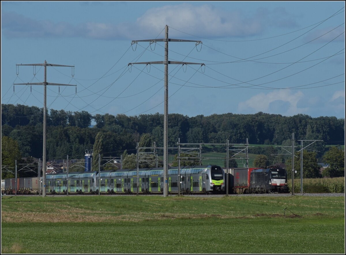 Vectron 193 718 der MRCE begegnet RABe 515 019 und RABe 515 038 bei Bollodingen. September 2022.