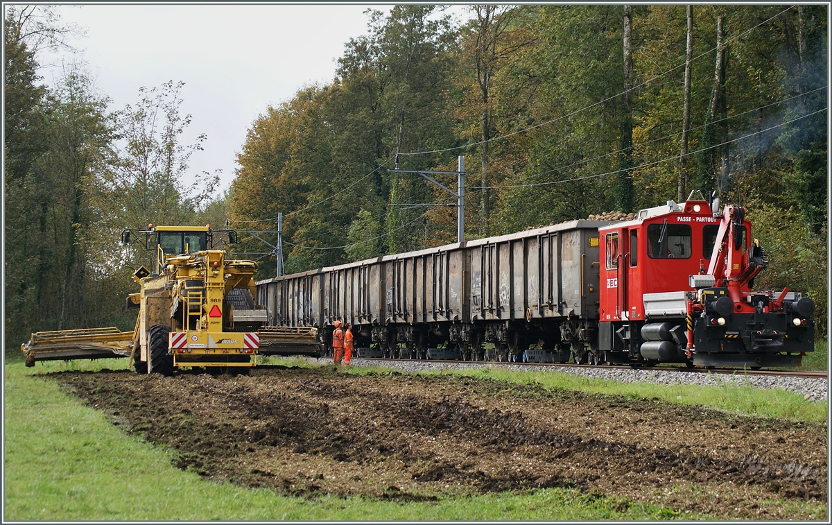 Zuckerr�benverlad auf freier Strecke der BAM zwischen Apples und Pampigny-S�very.
10. Okt. 2014