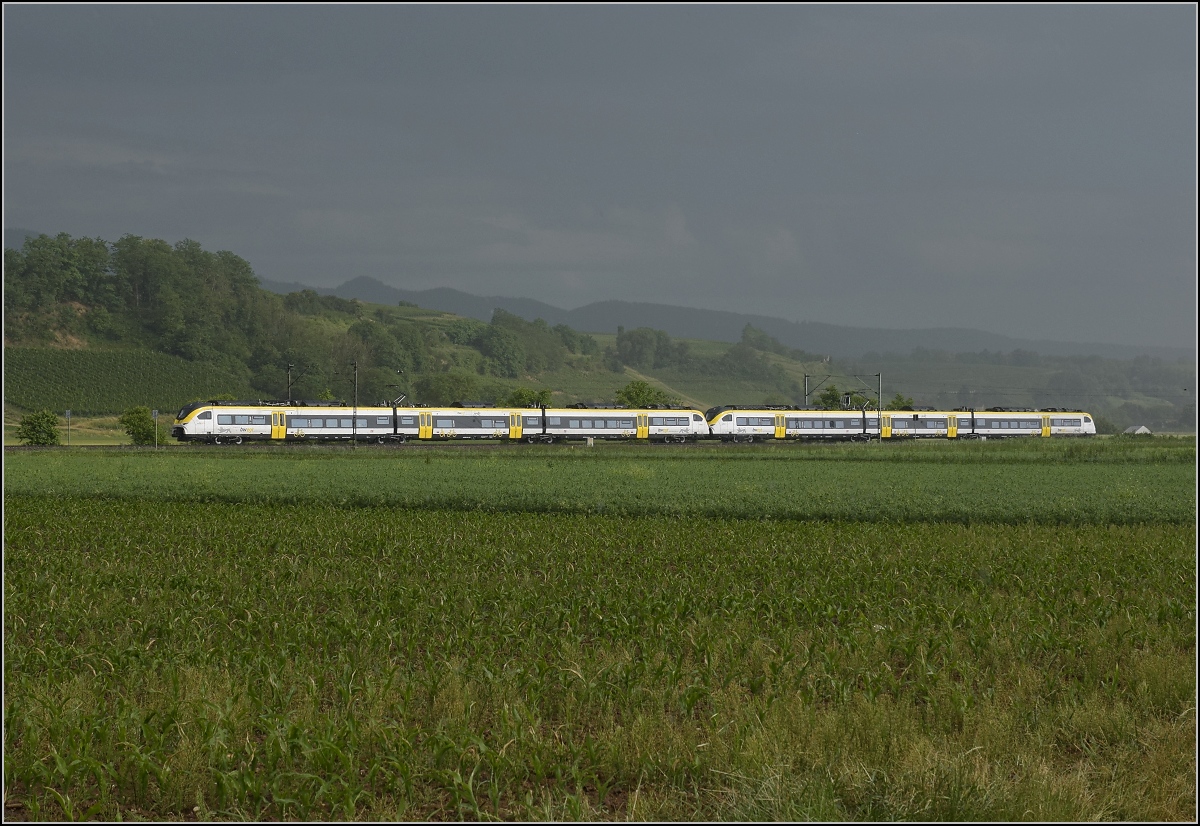 Zwei unbekannt gebliebene 463 bei Buggingen im abziehenden Unwetter. Juni 2022.