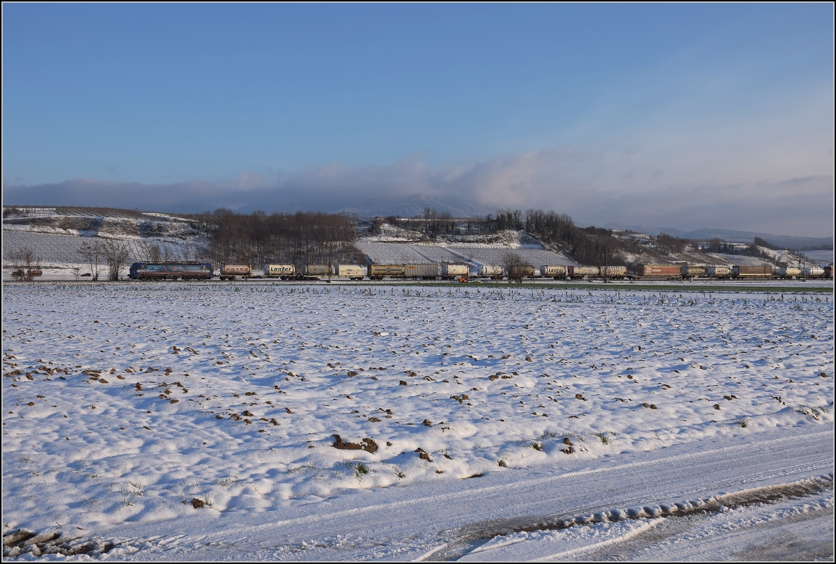 Zwischen Belchensystem und Blauendreieck. 

Die geleaste SBB 193 516 nordwärts bei Buggingen. Februar 2021.