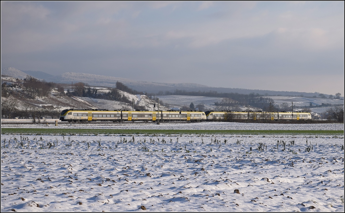 Zwischen Belchensystem und Blauendreieck. 

Eine Doppeltraktion 463 auf dem Weg nach Basel. Buggingen, Februar 2021.
