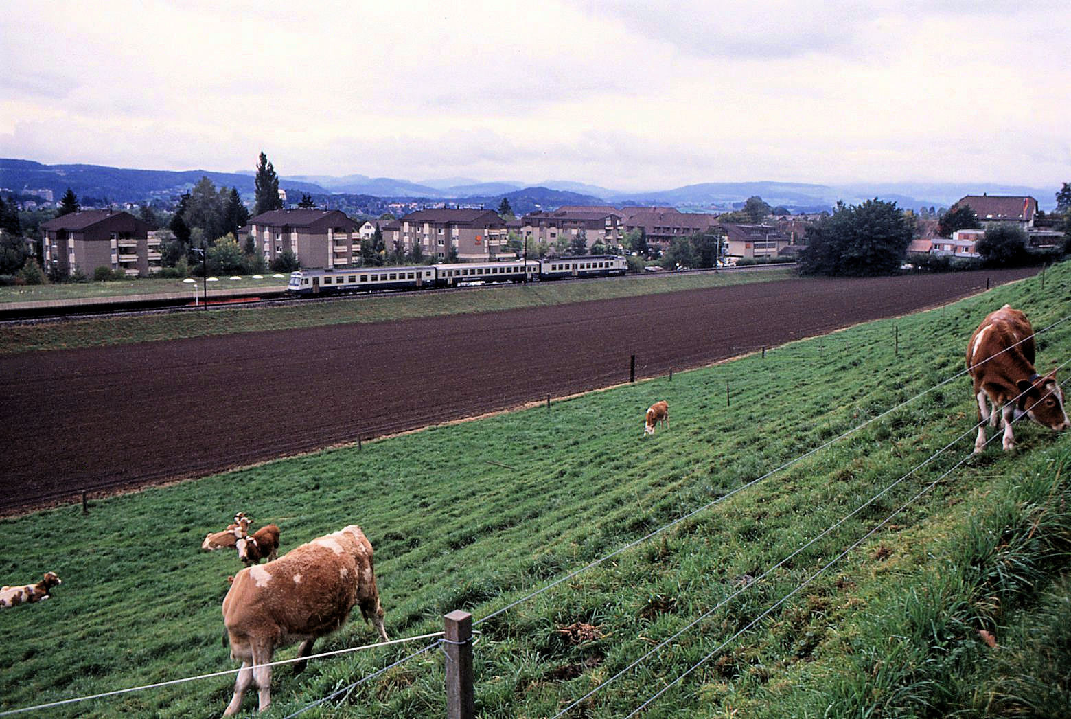 BLS NPZ im Originalanstrich: Durchfahrt einer NPZ-Komposition in Kleinwabern; der Zwischenwagen ist kein NPZ-Wagen, sondern ein Einheitswagen BLS. 25.September 1993 