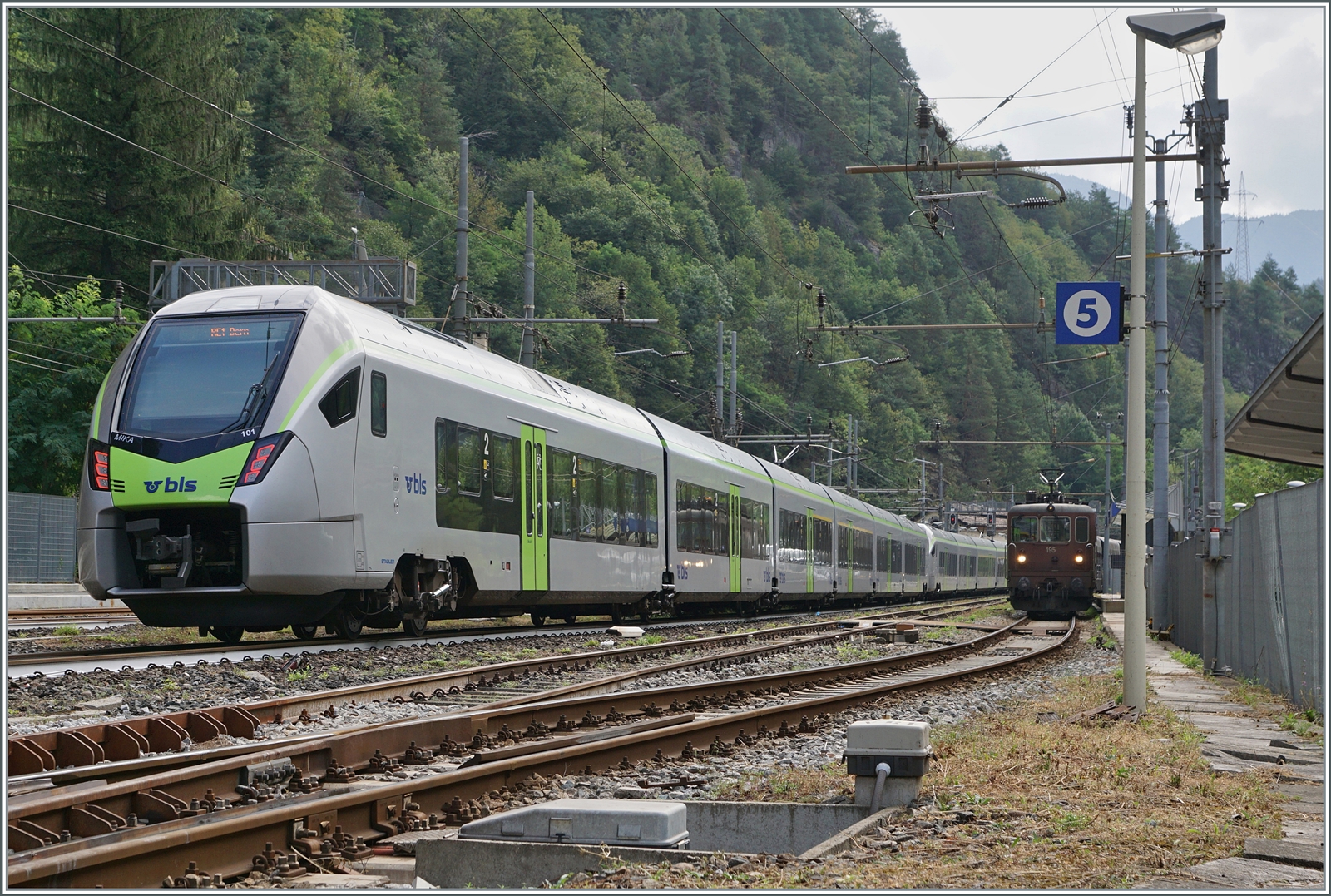 Das Ende einer interessanten Fahrt: Der BLS RE 11 4545 kommt von Biel/Bienne und endet in Iselle ei Trasquera (Weiterfahrt mit Busen infolge SEV). Der Zug bediente Lyss, Zollikofen, Ostermundigen, Gümligen,  Münsingen, Thun, Spiez, Mülenen, Reichenbach im Kandertal, Frutigen, Kandersteg, Goppenstein, Hohtenn, Ausserberg, Eggerberg und Brig; fuhr aber nicht via Bern. Der Zug besteht aus dem BLS RABe 528 111 und 101.
Im Hintergrund ist die BLS Re 4/4 195 mit ihrem abfahrbereiten Autotunnelzug zu sehen. 

17. August 2024.