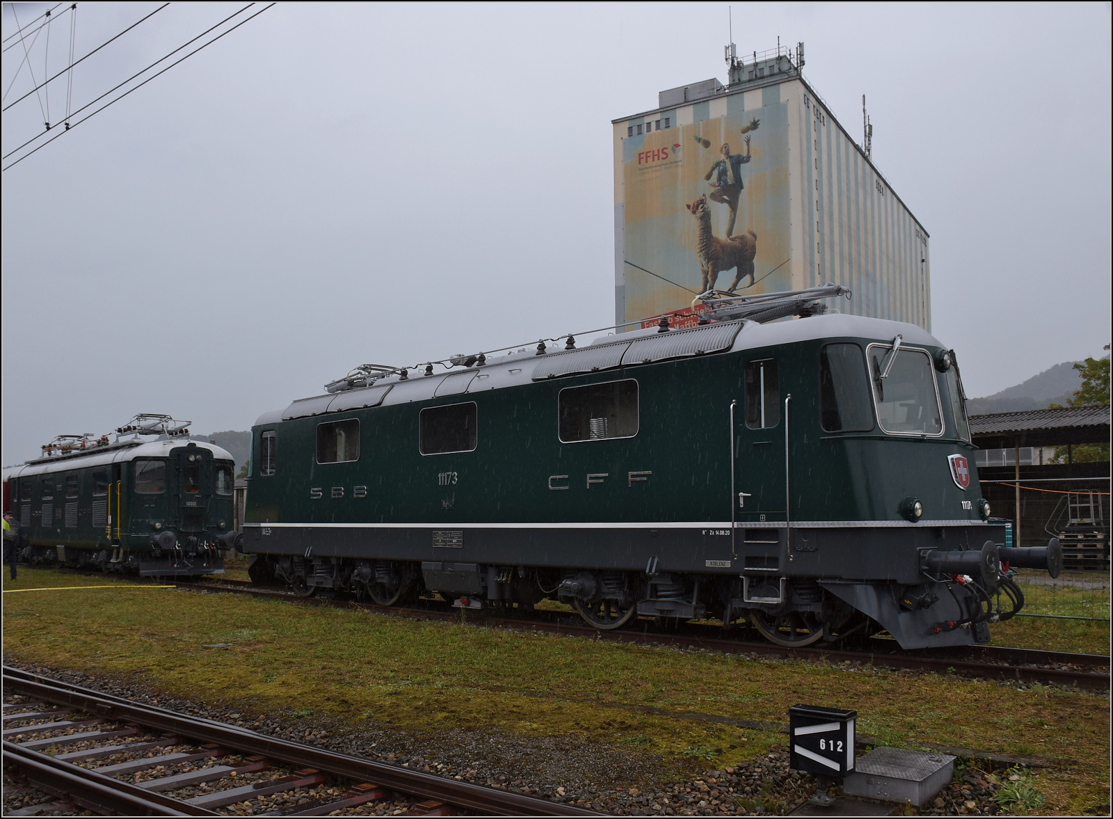 Depotfest Olten 2023. 

Re 4/4 II 11173 zwischen den Museumsloks. August 2023.