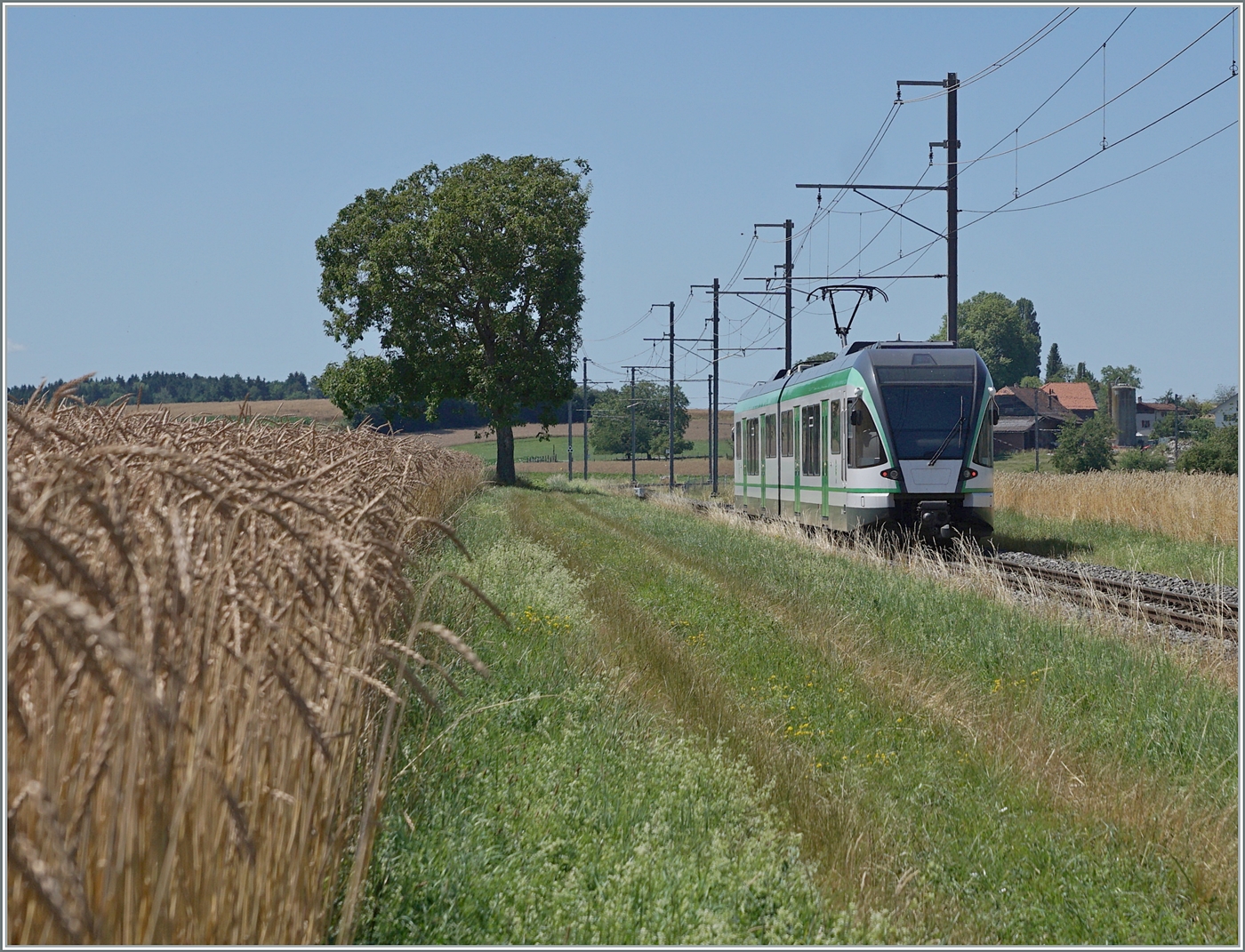 Der LEB RBe 4/8 N° 48 ist als R20 zwischen Bercher und Fey auf dem Weg nach Cheseaux mit Anschluss nach Lausanne per SEV infolge Sommerbauarbeiten. Die 24 km langen Strecke der LEB beginnt in der  Grossstadt  Lausanne und endet im ländlichen, wenig dicht besiedelten Bercher im Gros-de-Vaud, der Kornkammer des Kanton Waadts. 12. Juli 2025 