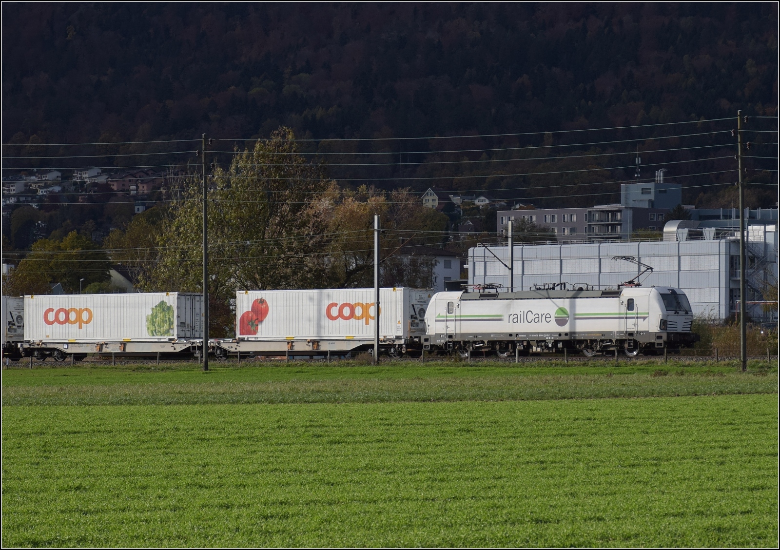 Ein bisschen Jurasüdfuss.

Rem 476 654 der Railcare bei Grenchen. November 2023.