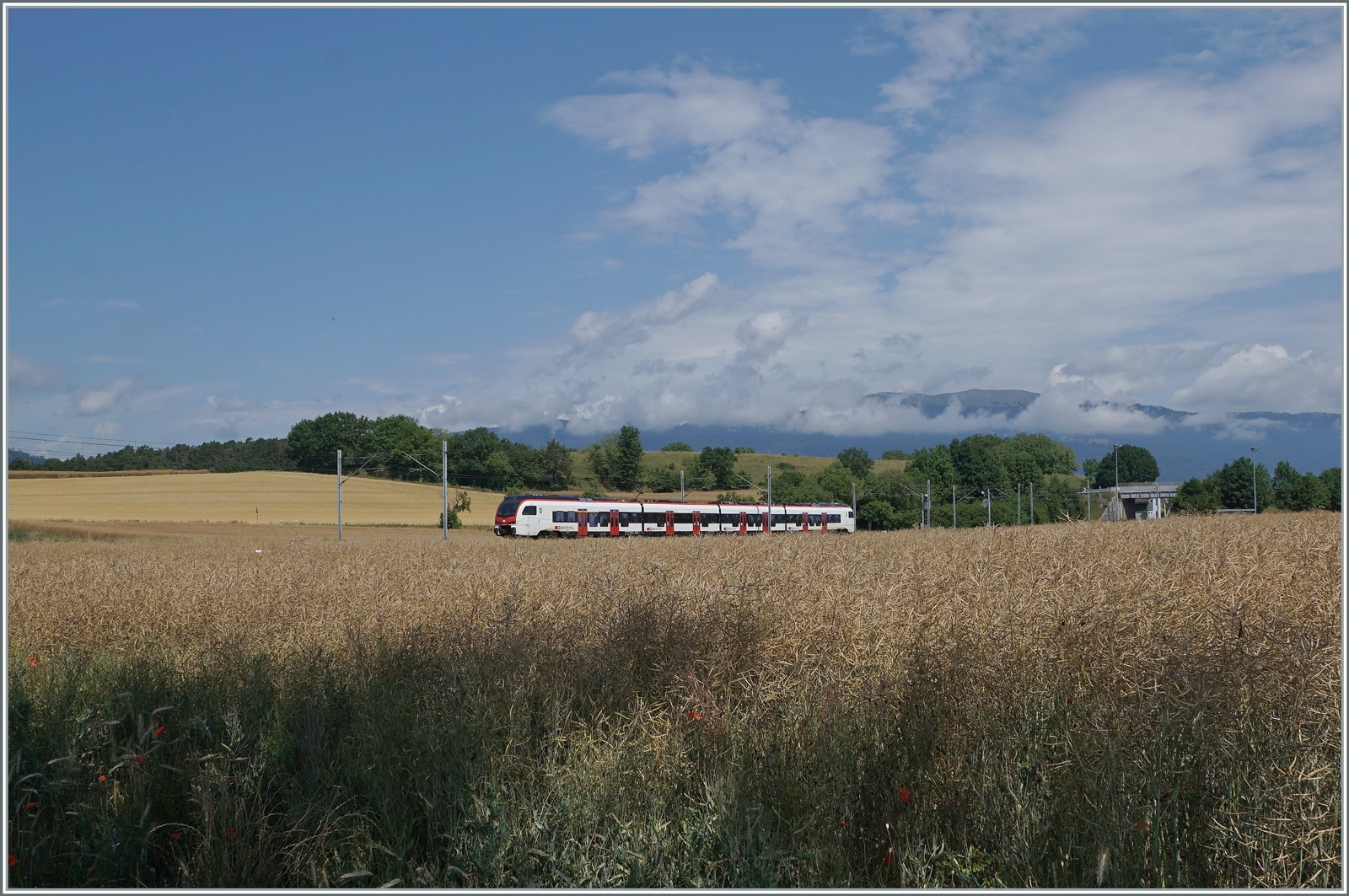 Ein Flirt3 RABe 523.3 ist bei Arnex auf dem Weg nach Aigle. 

4. Juli 2022