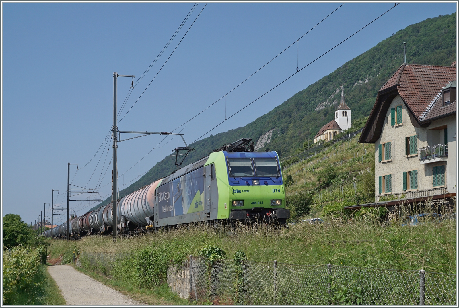 Etwas von der Vegetation verdeckt ist die BLS Re 485 014 mit einem Kesselwagenzug bei Ligerz auf der Fahrt Richtung Biel/Bienne.

5. Juni 2023