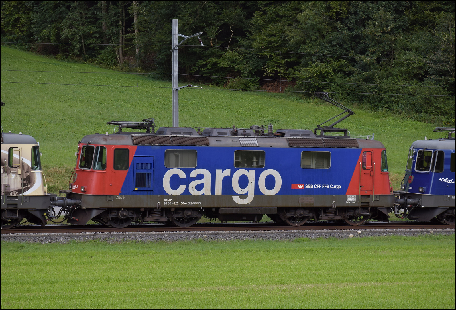Grosses BoBo-Treffen in Balsthal - die Teilnehmerinnen:

Re 4/4 II 11160 von SBB Cargo ist inzwischen im rot/blauen Cargo-Gewand lackiert. Diese Lok entstammt der 2. Serie, die einige Verbesserungen erfahren hat. Äusserlich ist dies schnell an den zwei Stromabnehmern sichtbar. Vor der Umgestaltung zur Cargo-Lok war die Lok die Versuchslok für den nachträglichen Einbau der Klimaanlagen. So fuhr eine grüne Lok mit roten Klimaanlagen über die SBB-Geleise. Äussere Klus, September 2024.