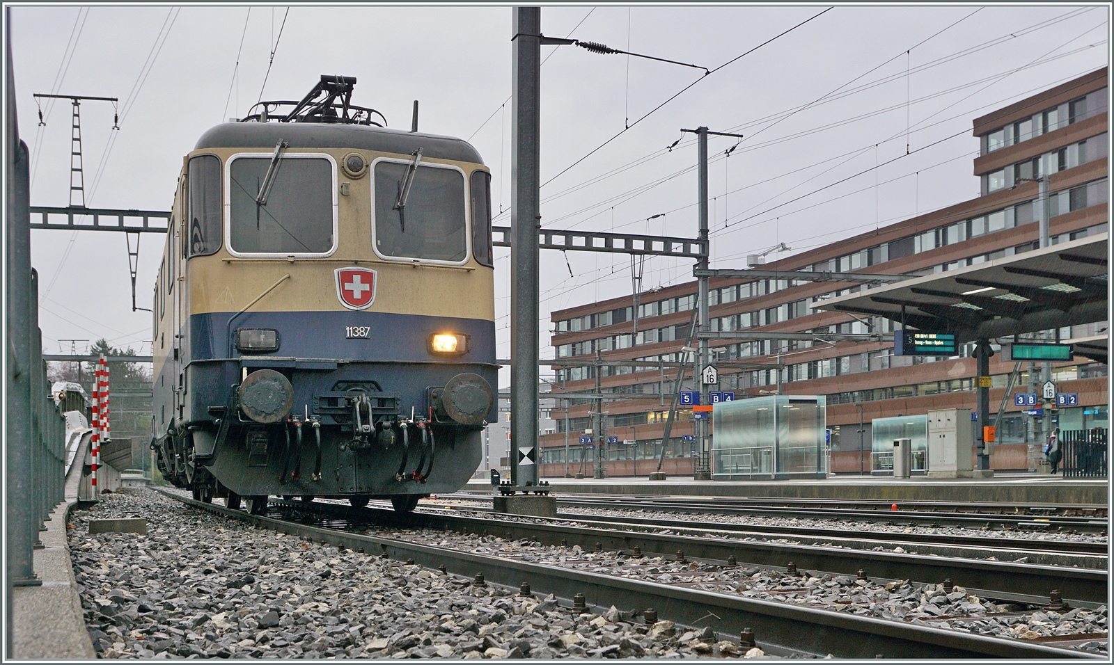 Nachdem die IRSI  Rheingold  Re 4/4 II 11387 (Re 421 387) mit ihrem Kieszug in Morges eingetroffen war und den Zug für wie Weiterfahrt über Schmalspurgleise über die Rollbockgrube geschoben hatte, blieb die Lok eine längere Weile stehen. Leider waren die Örtlichkeiten kaum fürs Fotografieren geeignet.

22. Feb. 2024