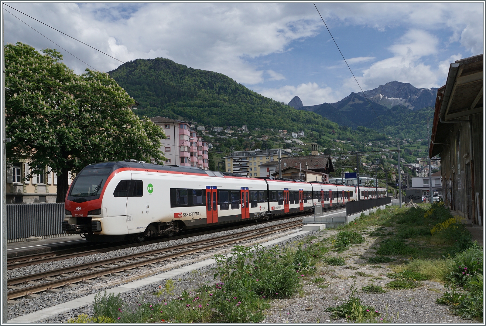 Zwei SBB Flirt * RABe 523.1 mit dem RABe 523 103 am Zugschluss sind als R auf dem Weg von  Le Brassus/Vallorbe nach Aigle und erreichen Clarens. Im Hintergrund sind der Dent de Jaman und die Roches de Naye zu sehen. 

14. Mai 2024