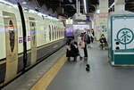 Der Nankai-Privatkonzern, die japanische Partnerbahn der MOB - Der Goldenpass Express, Zug 50504: Wagen 6 in Ôsaka Namba. 7.Mai 2025  