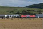 Eine Neuschweizerin auf dem Weg nach Basel. 120 145 der WRS auf der Rheintalbahn vor dem Weinberg des Auggener Schäf. Mai 2020.
