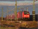 Schwarzwaldbahnlok 146 237 mit einem RE nach Basel badischer Bahnhof in Schliengen.